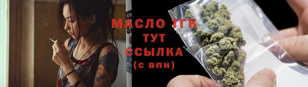 крисы Дмитров