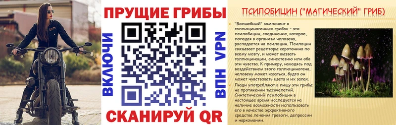 Галлюциногенные грибы мухоморы закладка Куртамыш